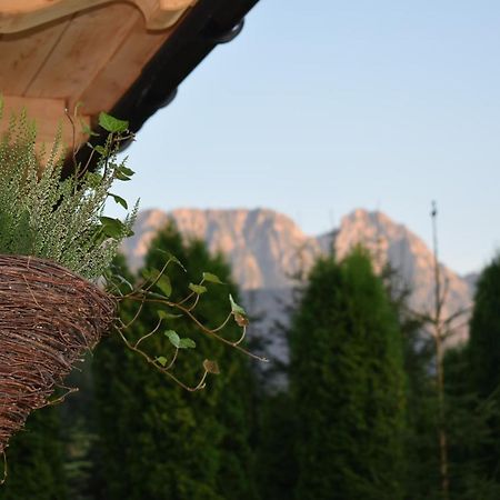 Fiedorówka Vila Zakopane Exterior foto