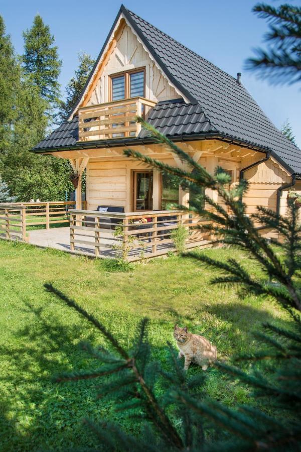 Fiedorówka Vila Zakopane Exterior foto